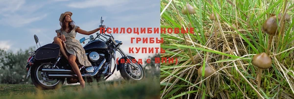 Альфа ПВП Болхов