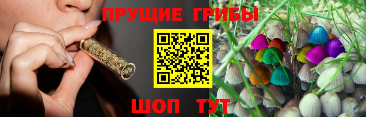 Балабаново  Псилоцибиновые грибы мухоморы  Псилоцибиновые грибы мухоморы  Вход с VPN 